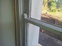 fkillineybeforeinternal 1290.jpg